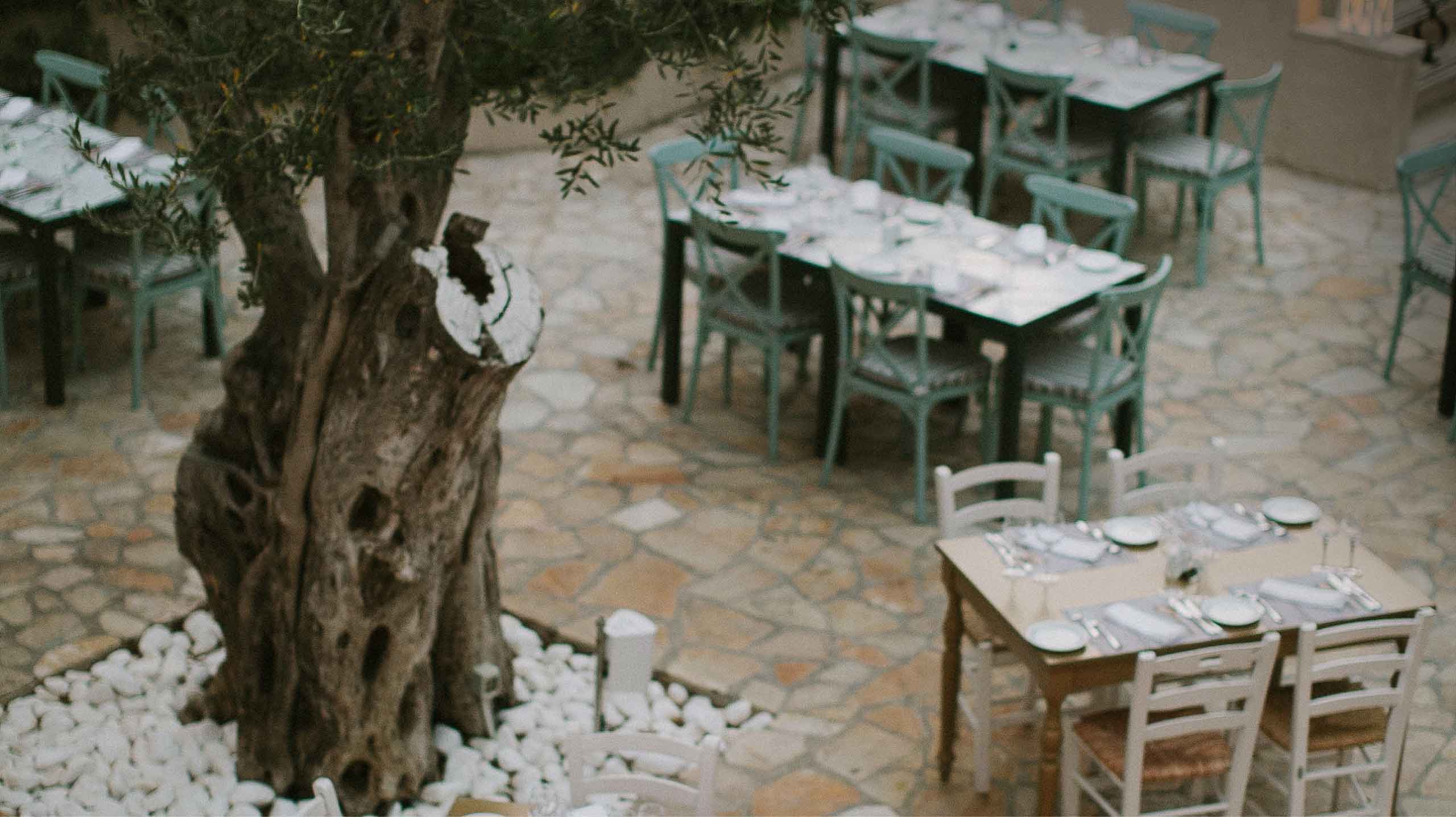 Tables under an olive tree on the terrace