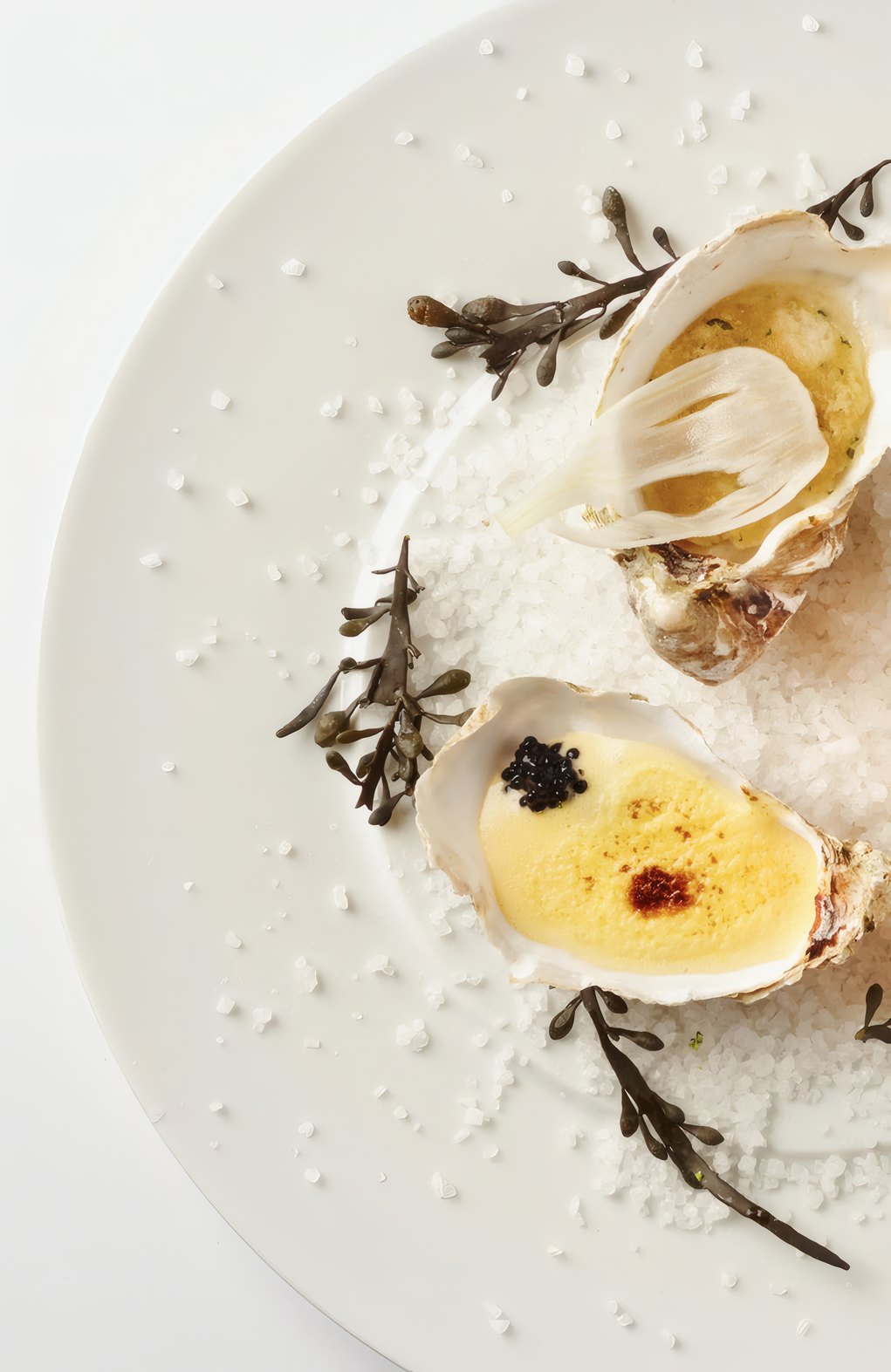 Oyster with caviar and sea salt on a white plate