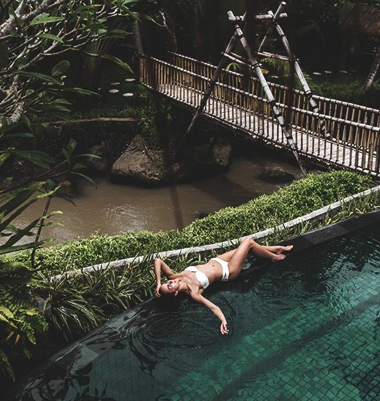 Hornbill Tree House