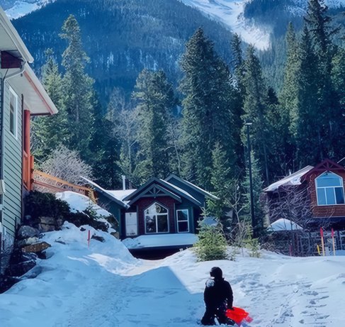 Chalets under the pines