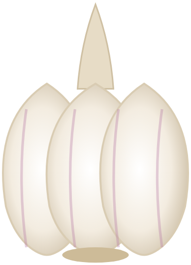 Garlic Cloves
