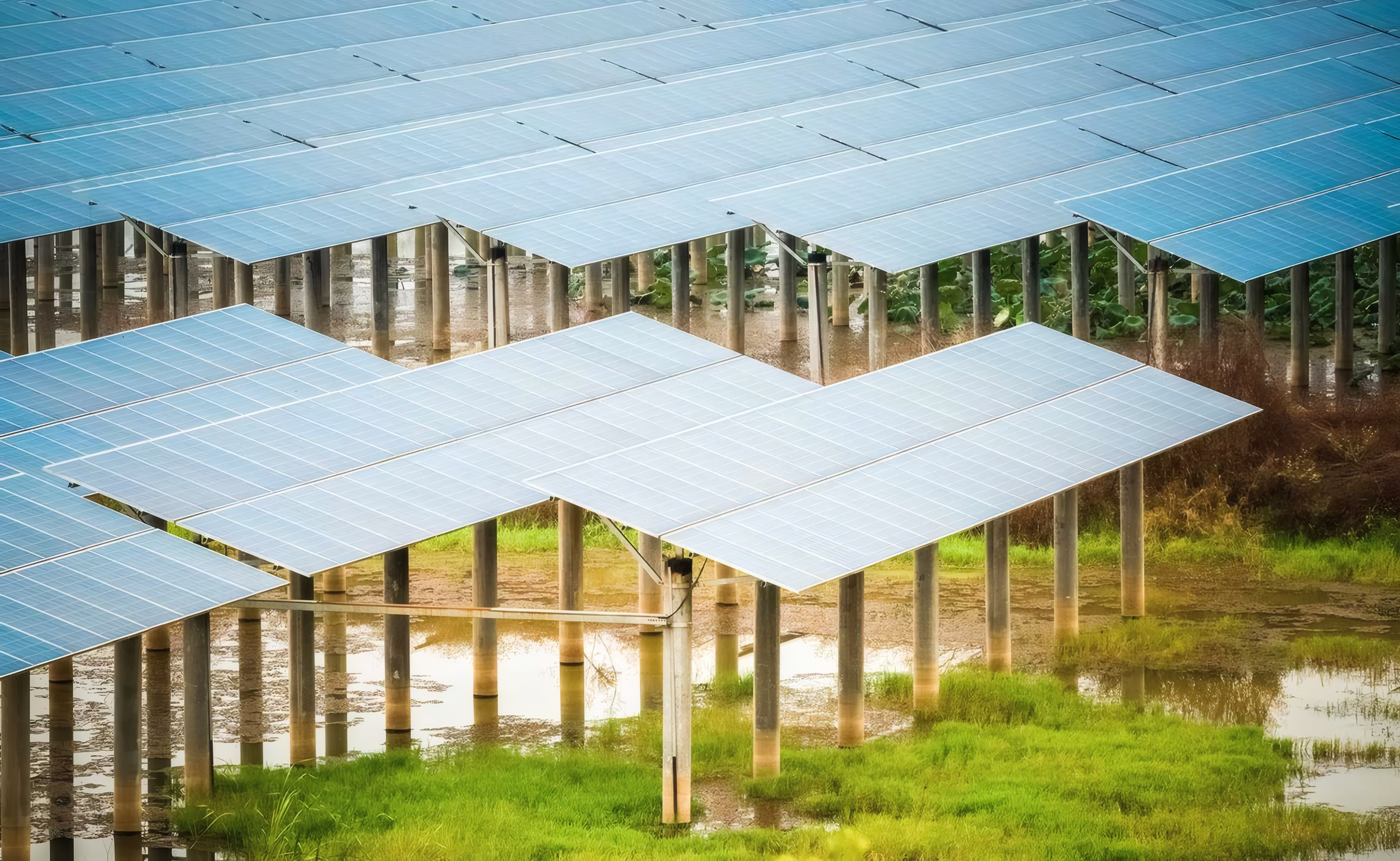 Rows of solar panels in a clearing in the forest