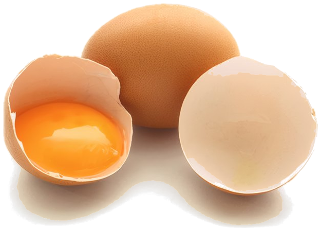 Free-Range Eggs