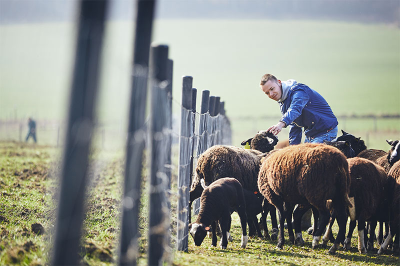 Meadowbank Farm