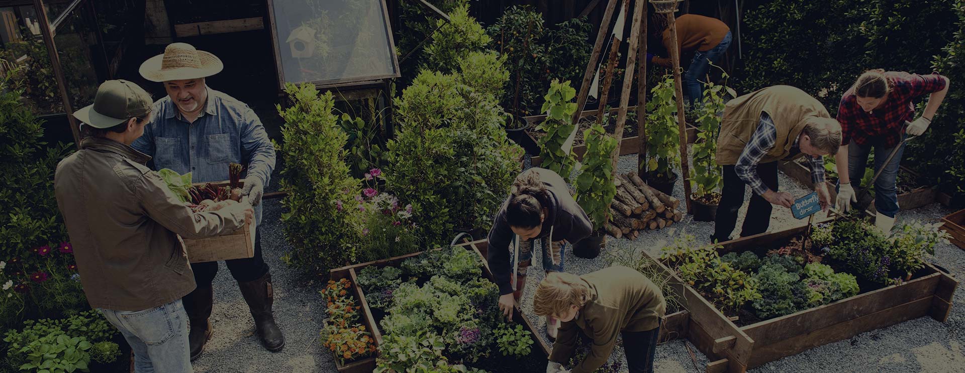 Growers carrying crates between the beds
