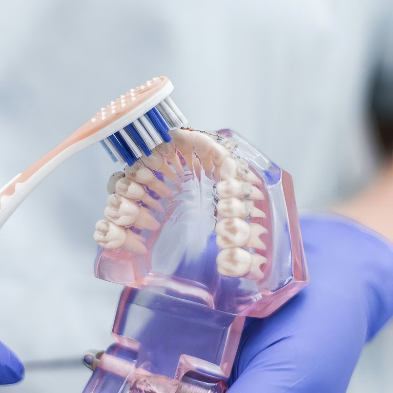 A clear model of the teeth with a toothbrush