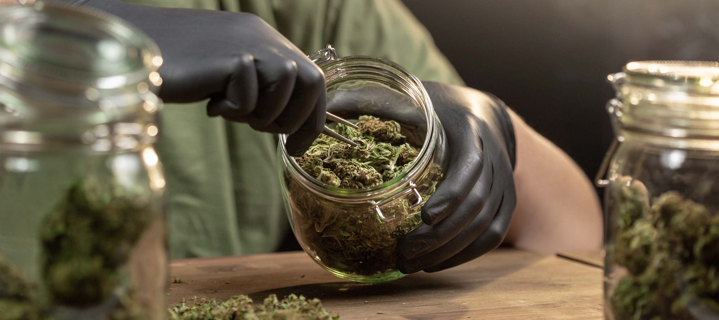 Gloved hands filling a glass jar with cured hemp flower