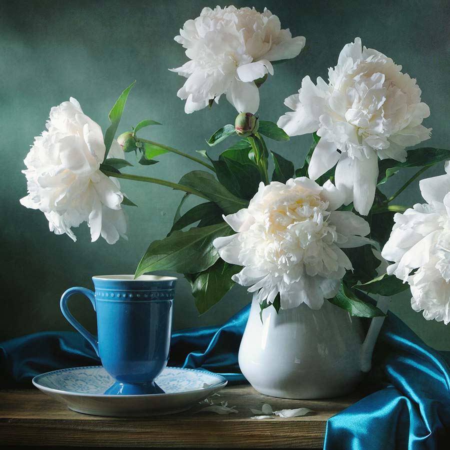 White Peonies