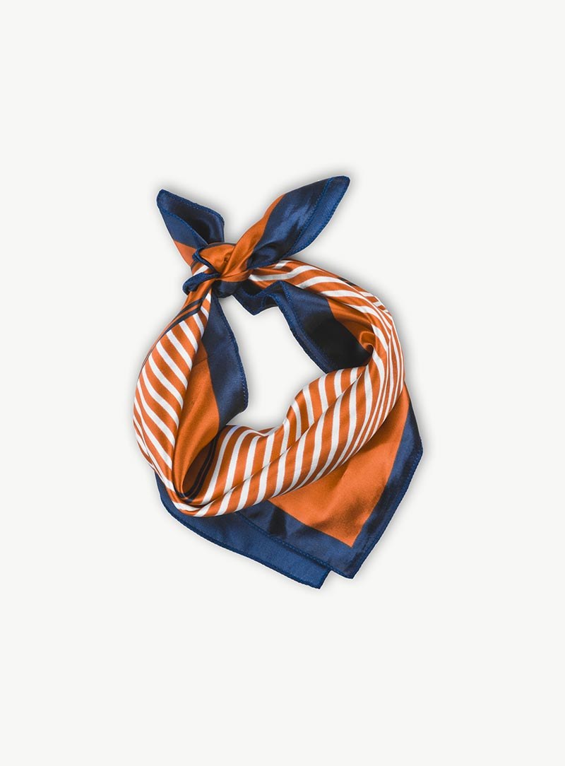 Blue Orange Scarf