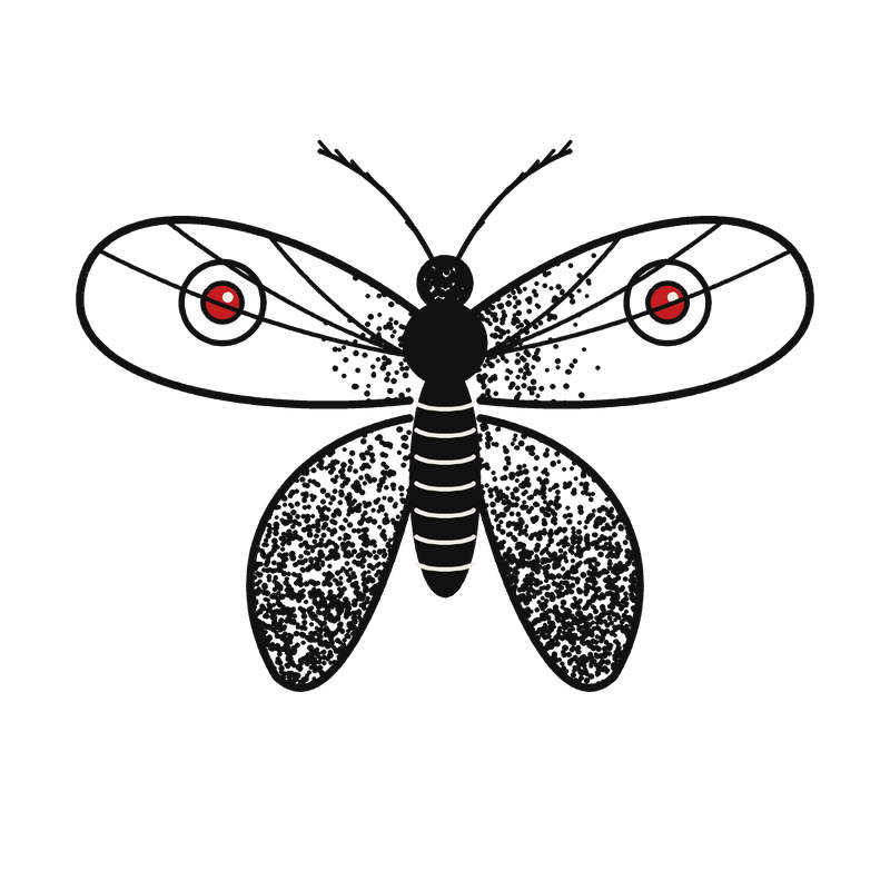 Night Moth