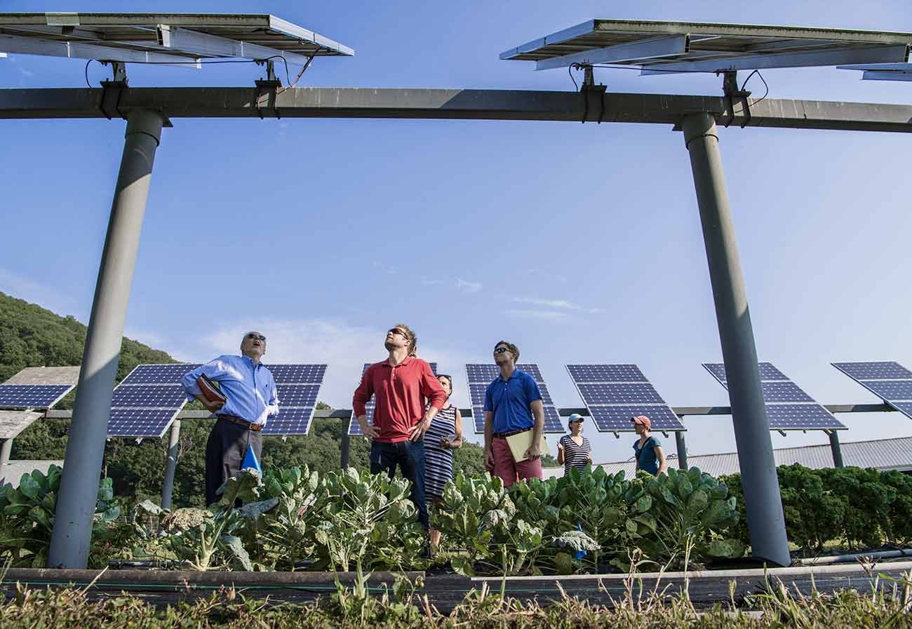 Crops growing under raised modules