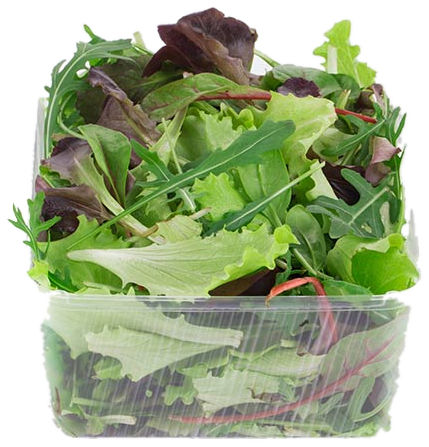 Salad Leaves