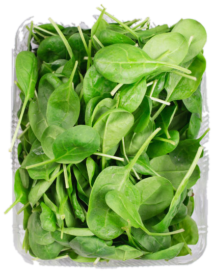 Baby Spinach, in season in March