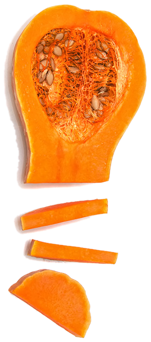 Butternut Squash