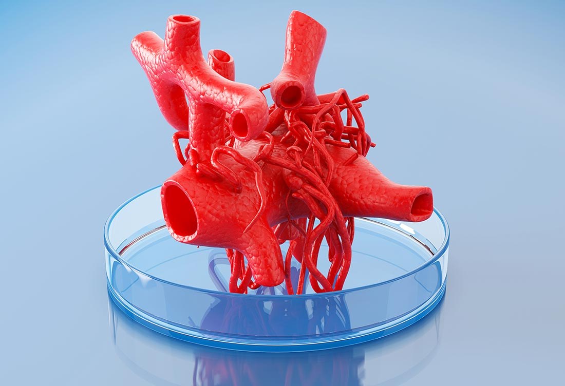 Cardiology