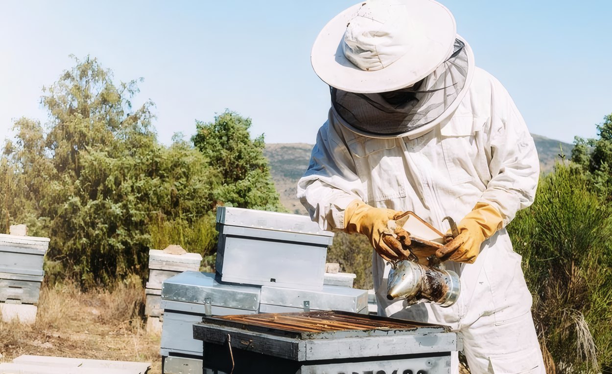 Orchard Apiary, Red Hook