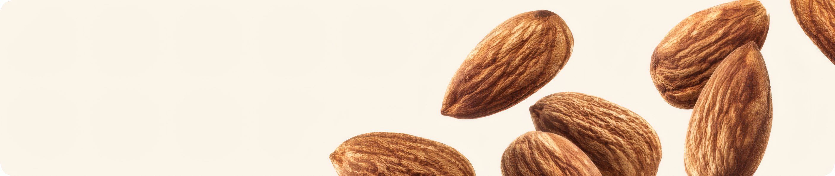 Almonds scattered on a cream ground