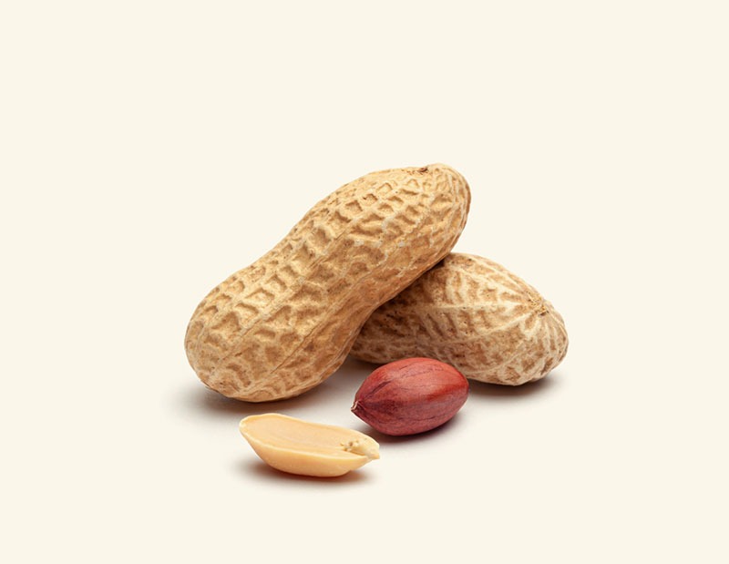 Roasted Peanuts