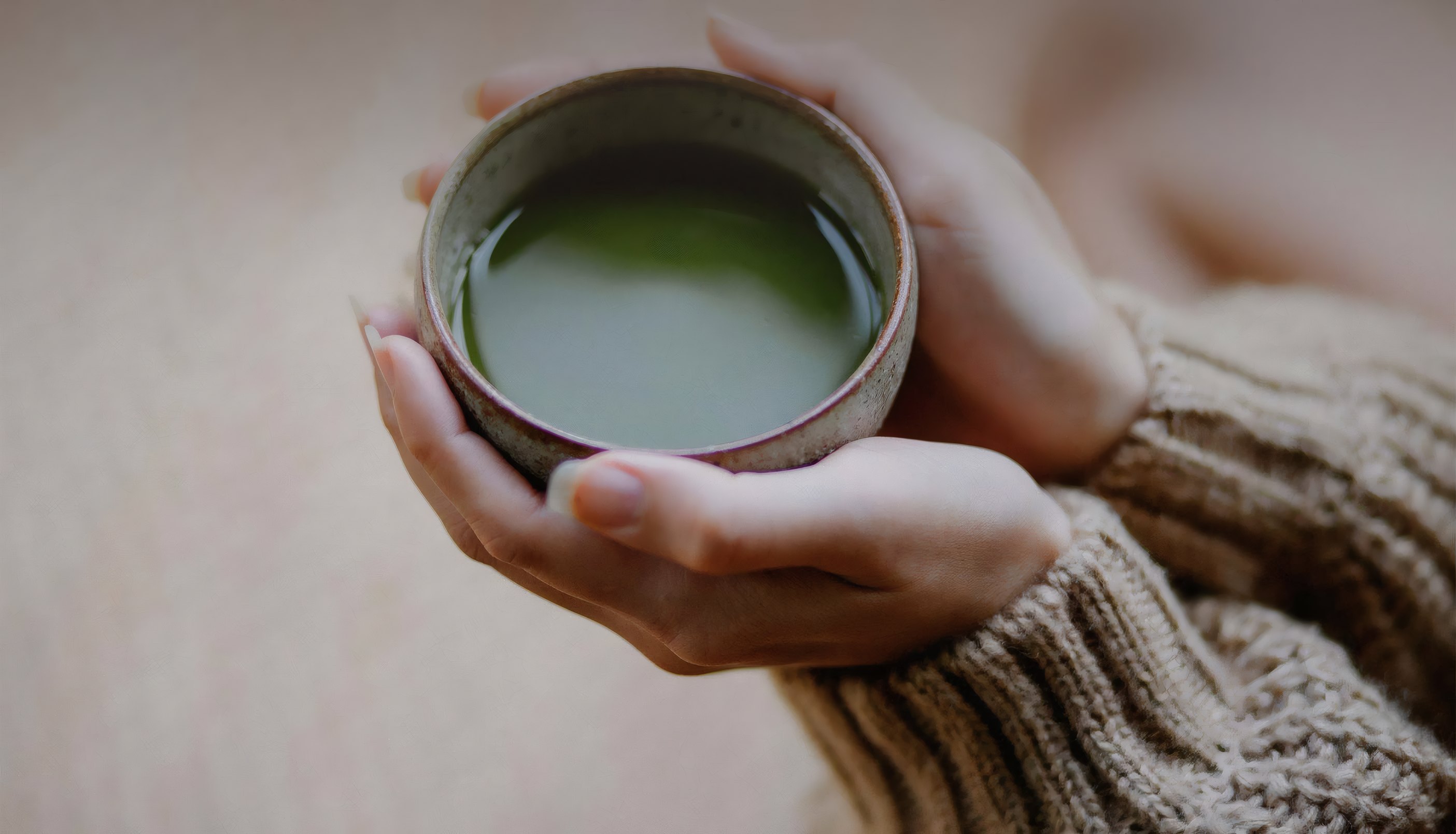 A bowl of whisked matcha held in two hands