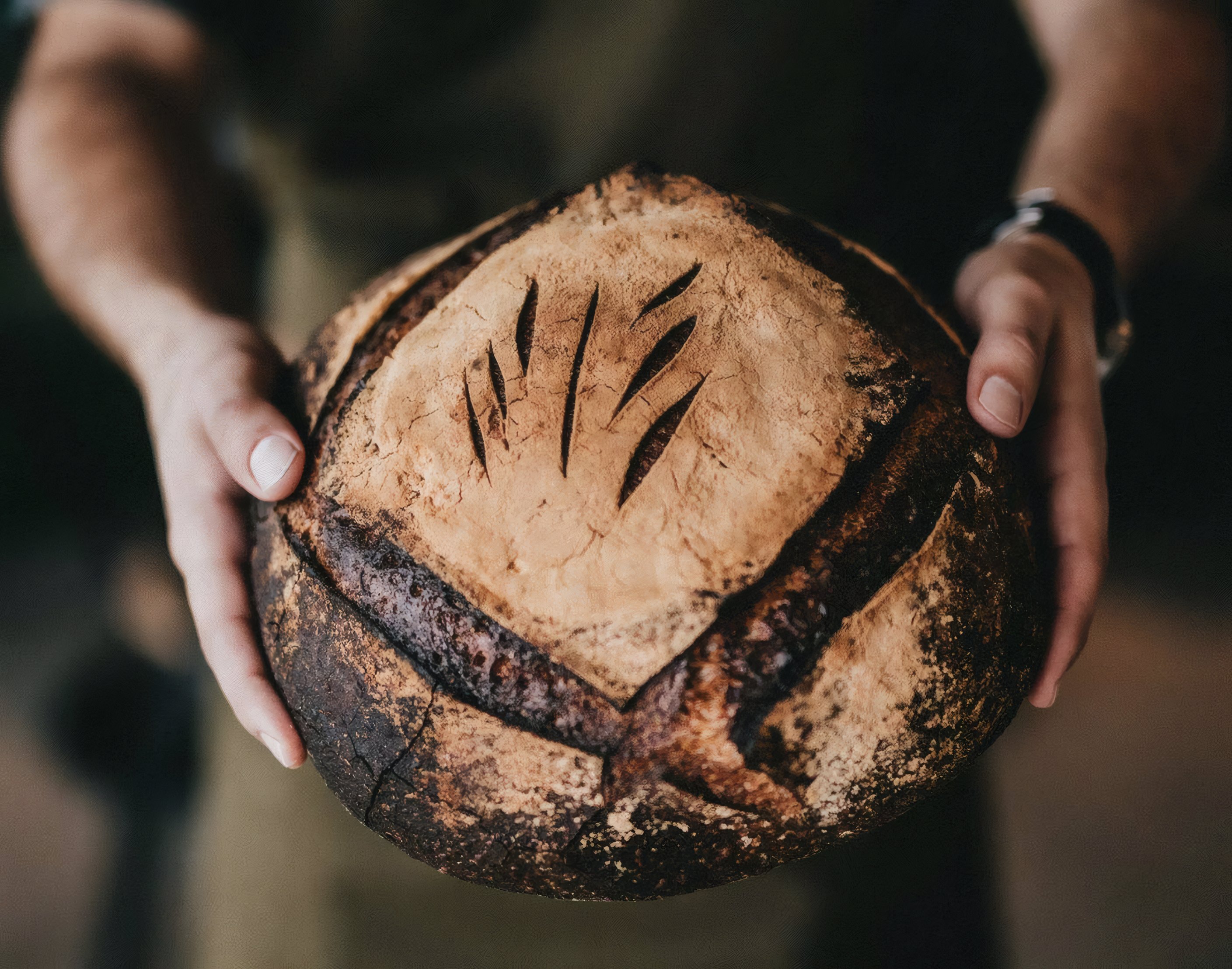 A scored loaf held in floury hands