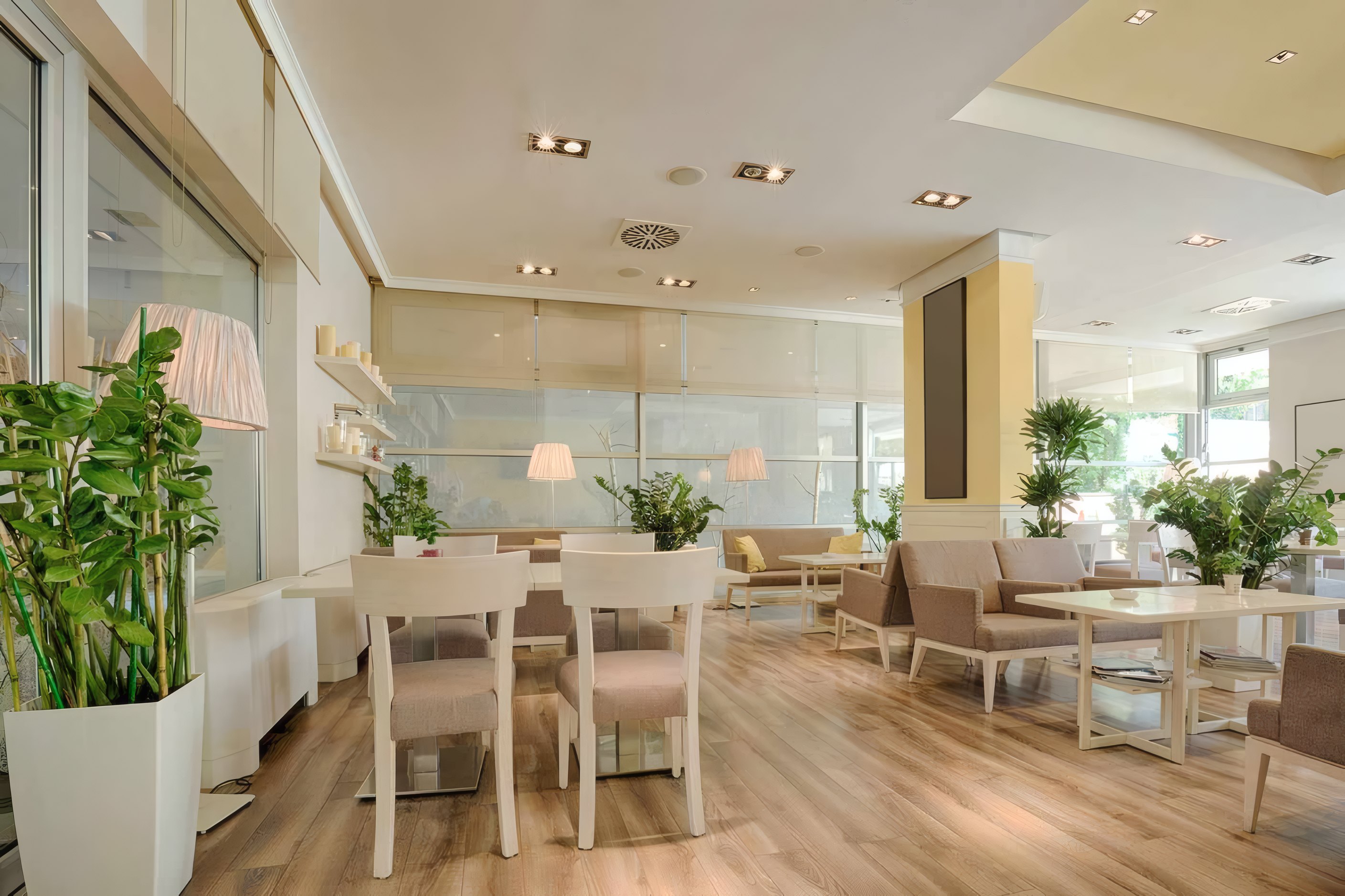 A bright room of white tables and chairs with plants by the windows