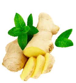 Dried Ginger Root
