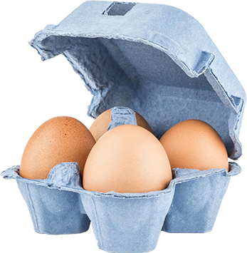 Free-Range Eggs