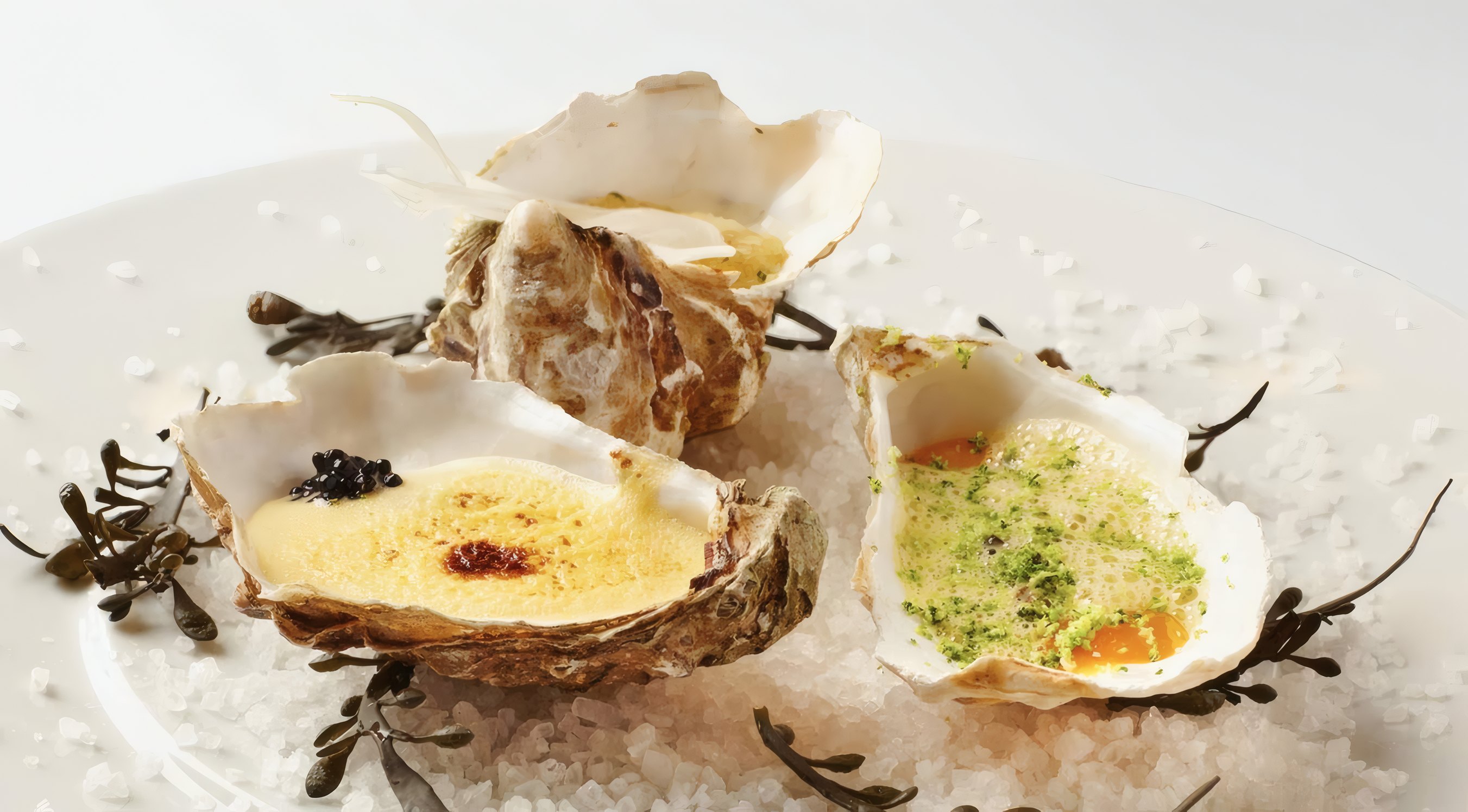 Grilled oysters with herbs on a white plate