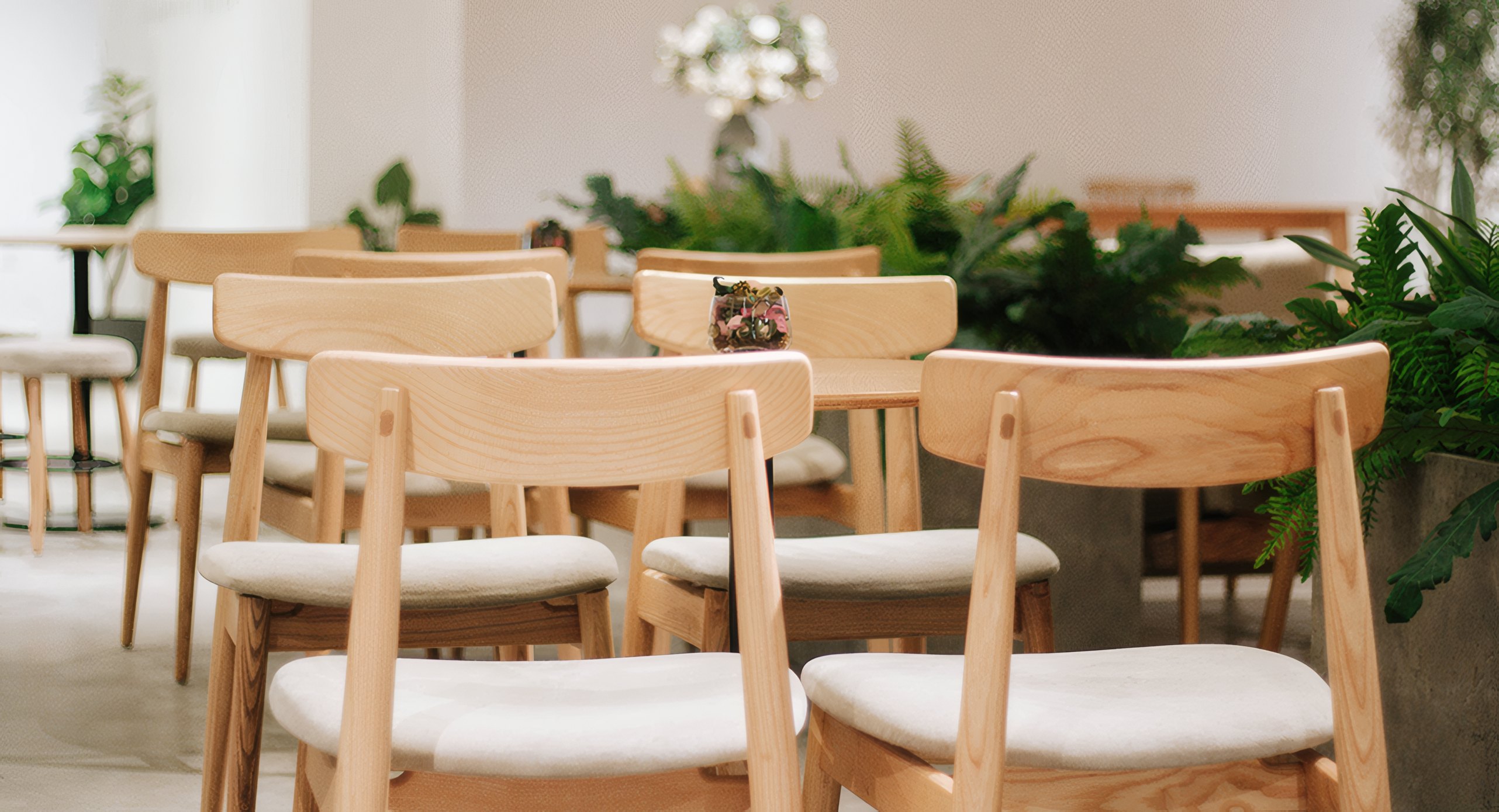 The garden room with oak chairs and ferns