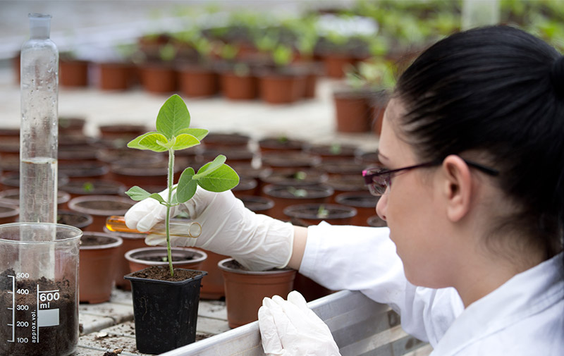 Seed Science Campus