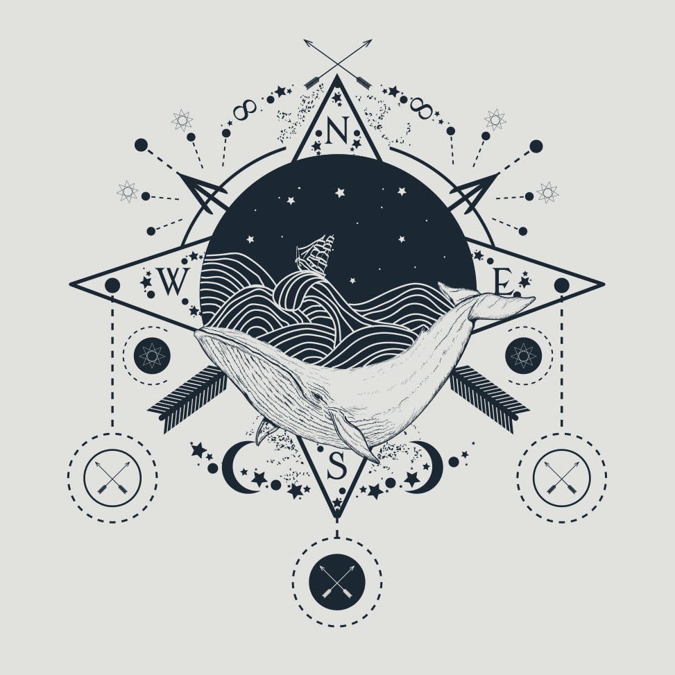 Whale Compass, a flash design