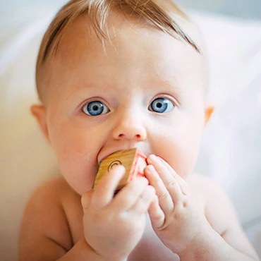 Baby nibbling a wooden toy