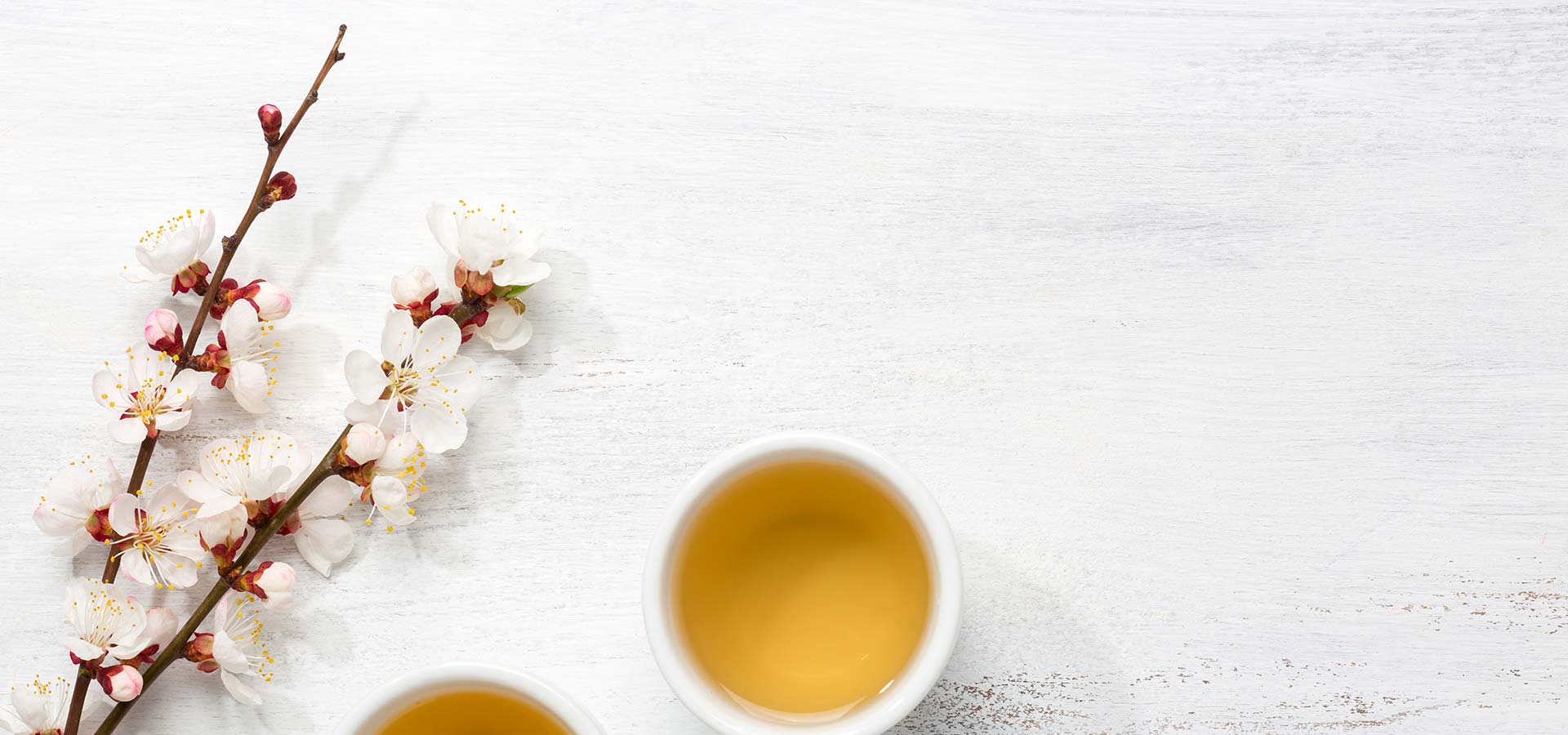 Blossom and two cups of tea on a white table