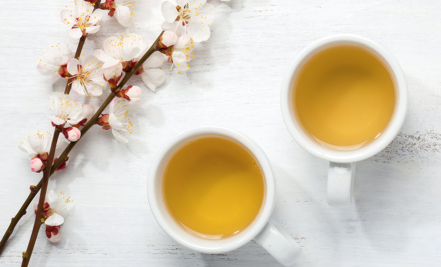 Two cups of tea and a blossom branch seen from above