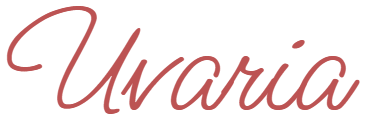Uvaria