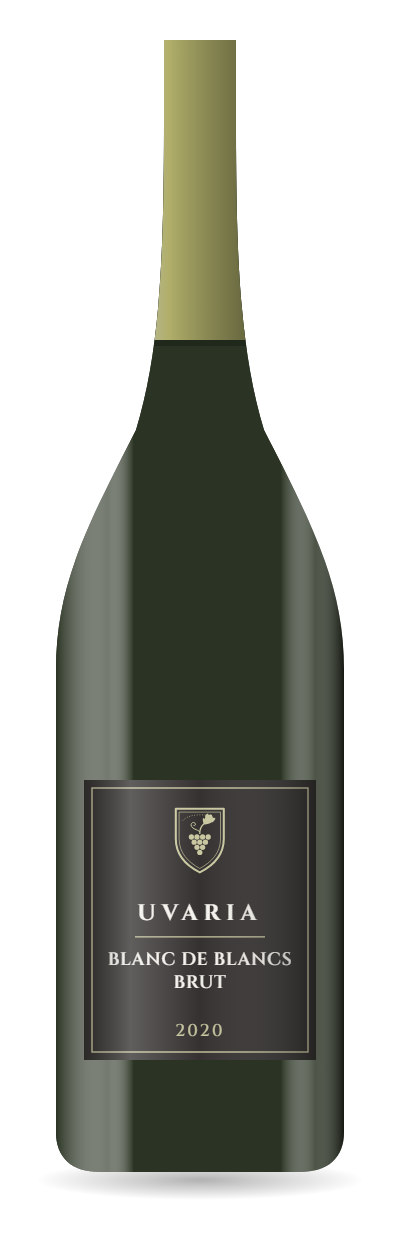 Blanc De Blancs Brut 2020 bottle