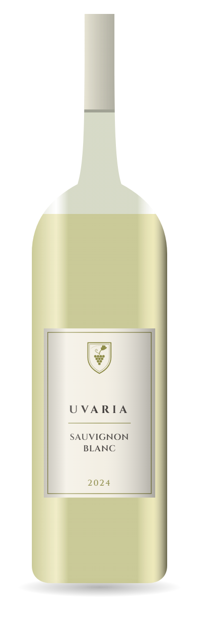 Sauvignon Blanc 2024 bottle