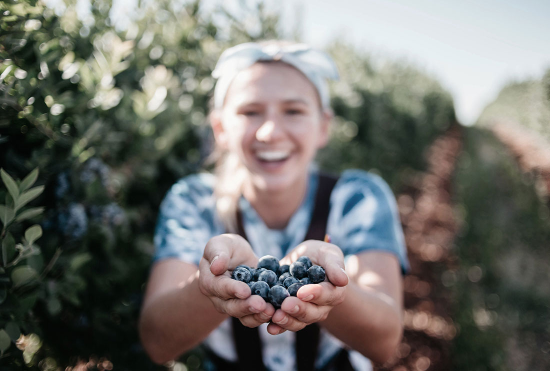 A member holds out a handful of just-picked grapes