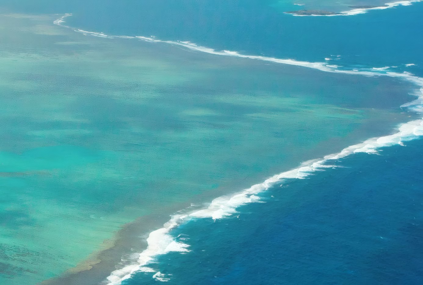 Red Sea Reefs