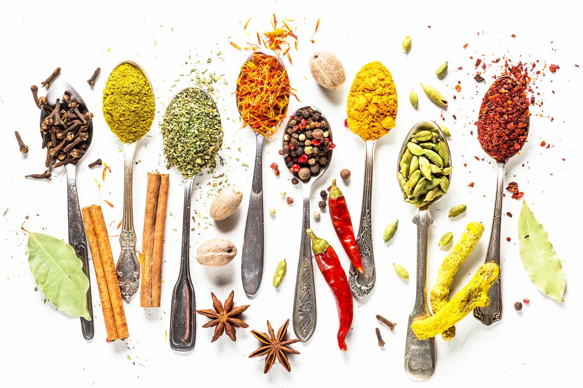 A row of spoons holding different whole spices