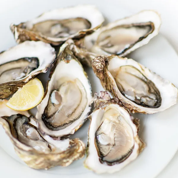 Fines de Claire Oysters